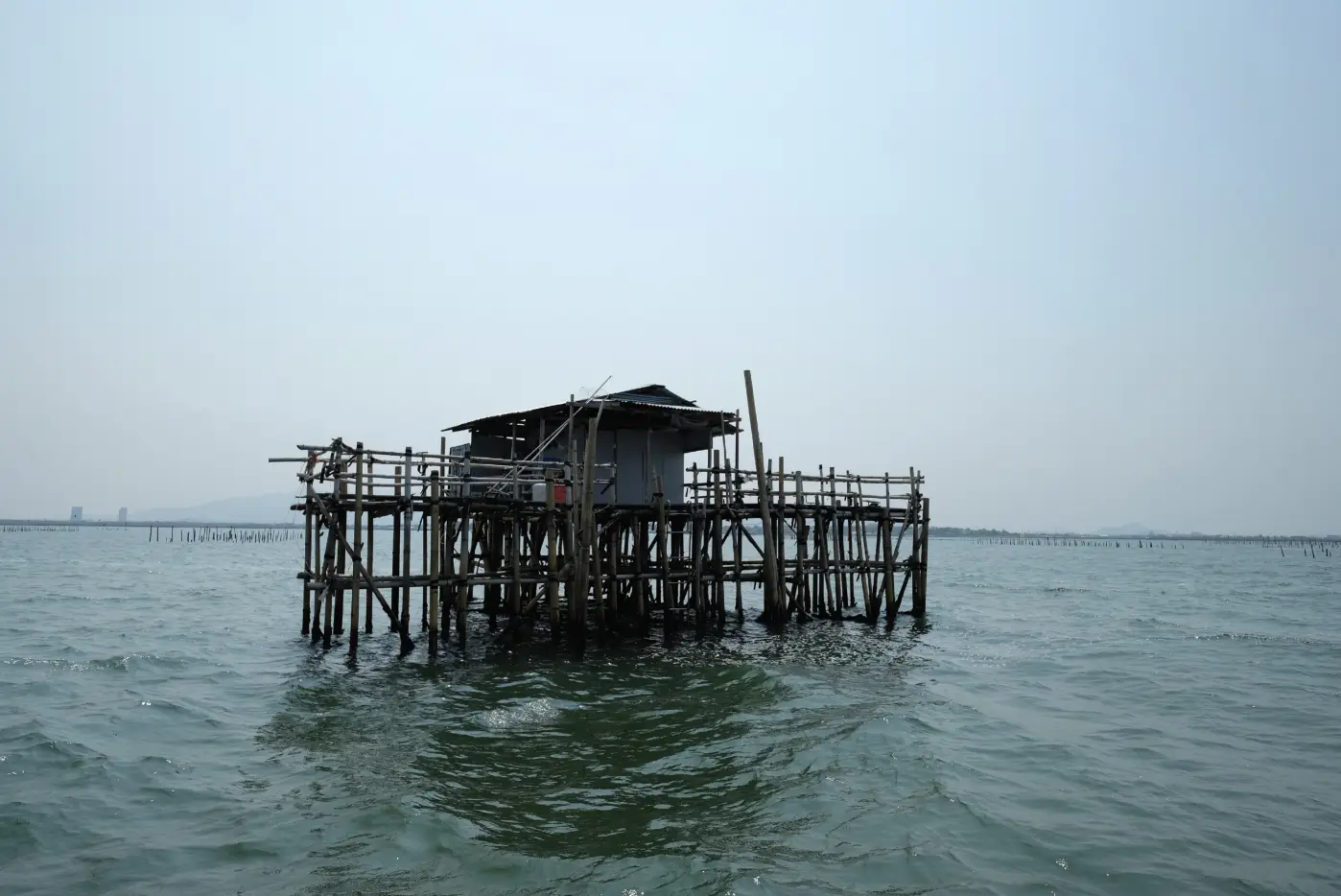 A typical oyster outpost